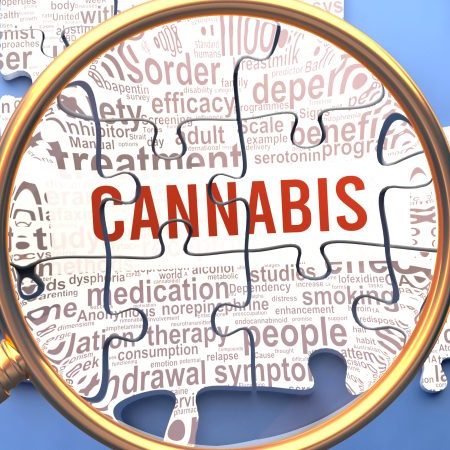 Cannabis,Being,Closely,Examined,Along,With,Multiple,Vital,Concepts,And